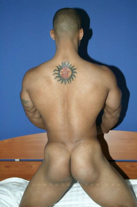 Adonis Rivers - Maxegatos - Foto 47