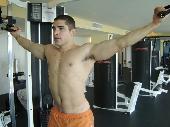 Gabriel - Maxegatos - Foto 3