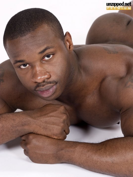 Marc Williams - Maxegatos - Foto 38