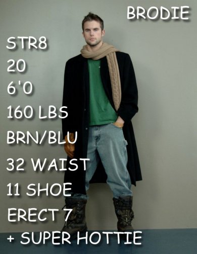 Brodie - Maxegatos - Foto 1