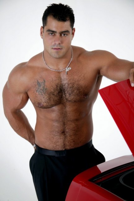 Alex Torquetti - Maxegatos - Foto 14