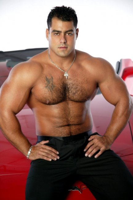 Alex Torquetti - Maxegatos - Foto 15