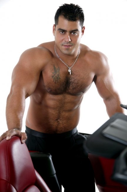 Alex Torquetti - Maxegatos - Foto 16