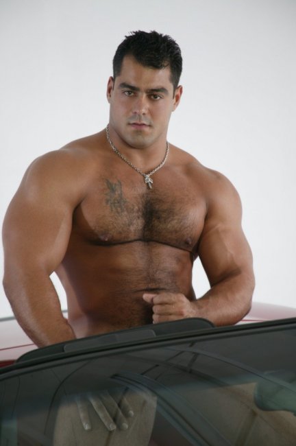 Alex Torquetti - Maxegatos - Foto 38