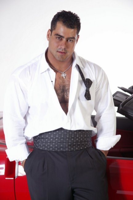 Alex Torquetti - Maxegatos - Foto 6