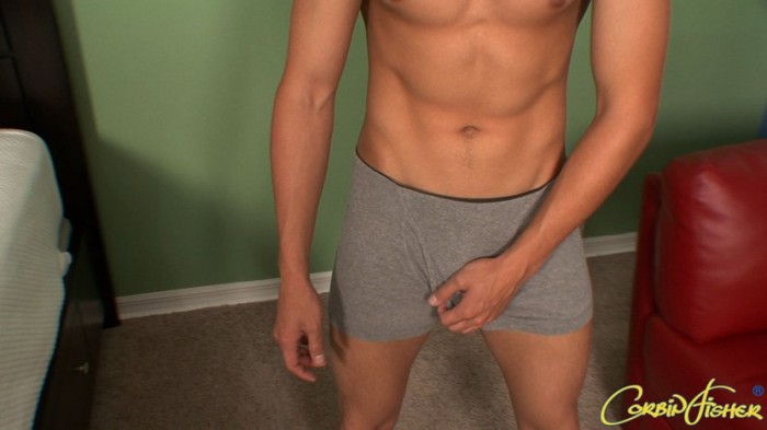 Colby - Maxegatos - Foto 27