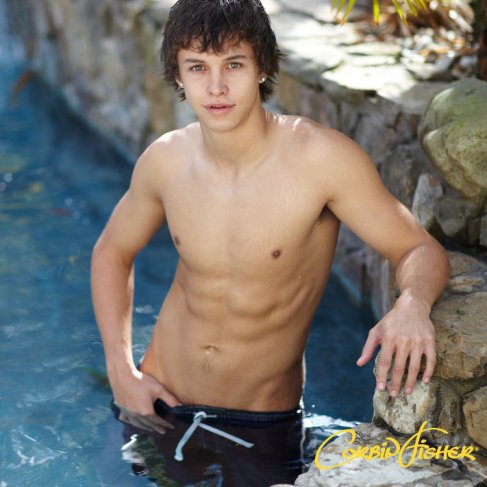 Colby - Maxegatos - Foto 8