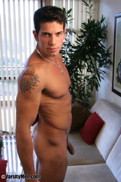 Gabe - Maxegatos - Foto 14