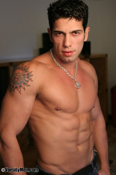 Gabe - Maxegatos - Foto 2