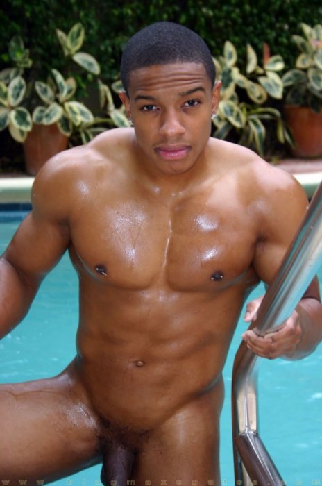 Tyson Kobie - Maxegatos - Foto 13