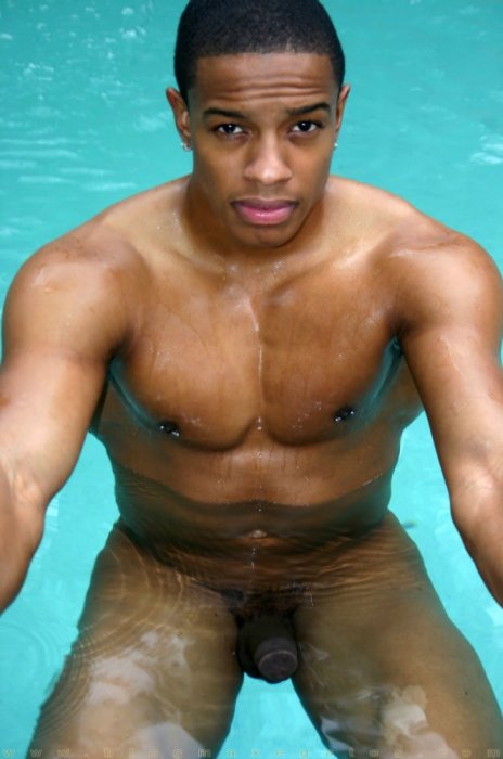 Tyson Kobie - Maxegatos - Foto 16