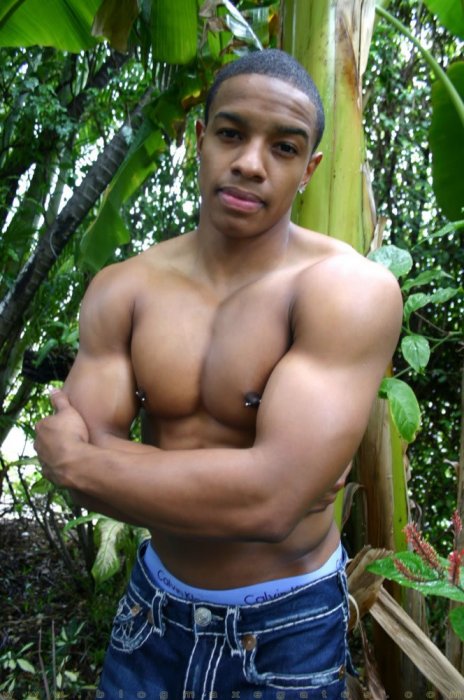 Tyson Kobie - Maxegatos - Foto 8