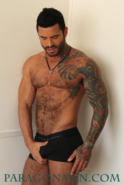 Alexsander Freitas - Maxegatos - Foto 1