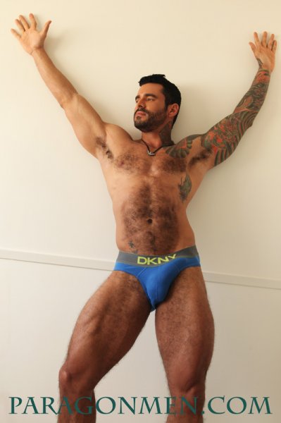 Alexsander Freitas - Maxegatos - Foto 11