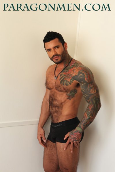 Alexsander Freitas - Maxegatos - Foto 2