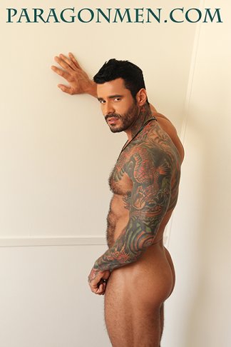 Alexsander Freitas - Maxegatos - Foto 26
