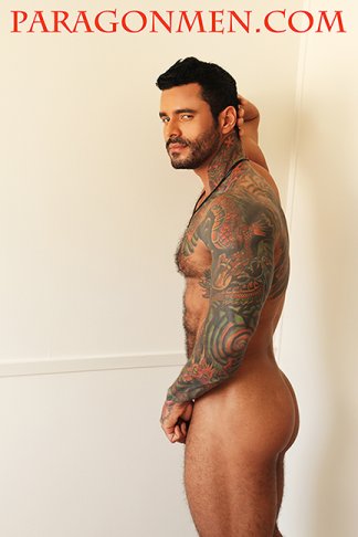 Alexsander Freitas - Maxegatos - Foto 27