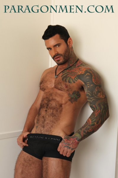 Alexsander Freitas - Maxegatos - Foto 3