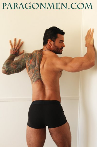 Alexsander Freitas - Maxegatos - Foto 7