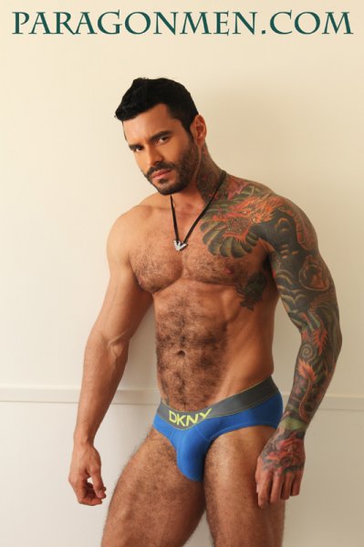Alexsander Freitas - Maxegatos - Foto 8