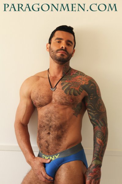 Alexsander Freitas - Maxegatos - Foto 9
