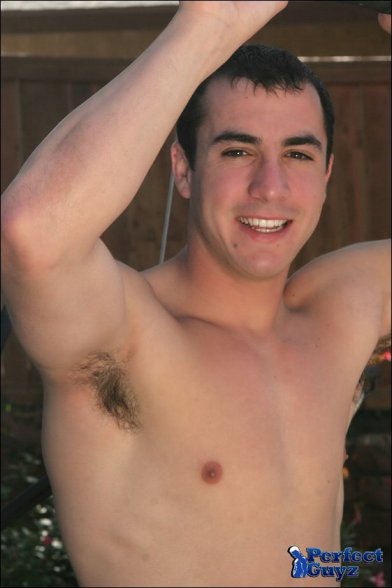 Link Sherry - Maxegatos - Foto 3