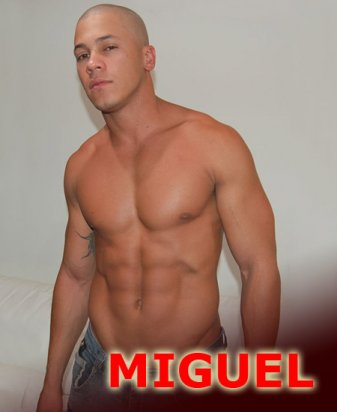 Miguel - Maxegatos - Foto 2