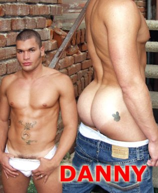Danny - Maxegatos - Foto 1