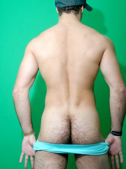Grecco - Maxegatos - Foto 13