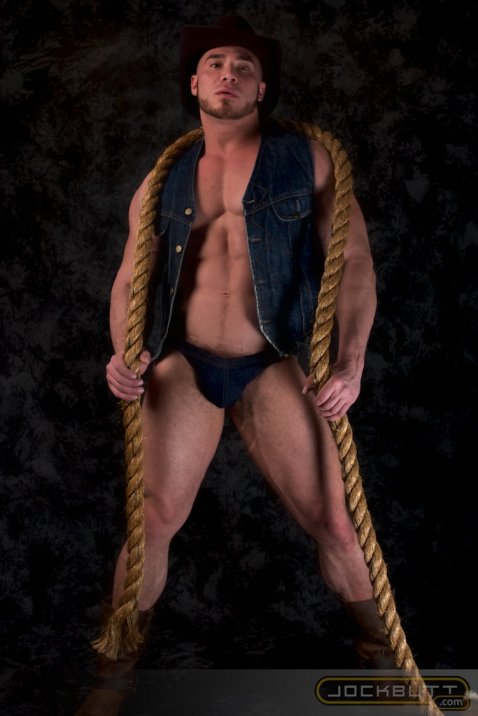 Angelo - Maxegatos - Foto 1