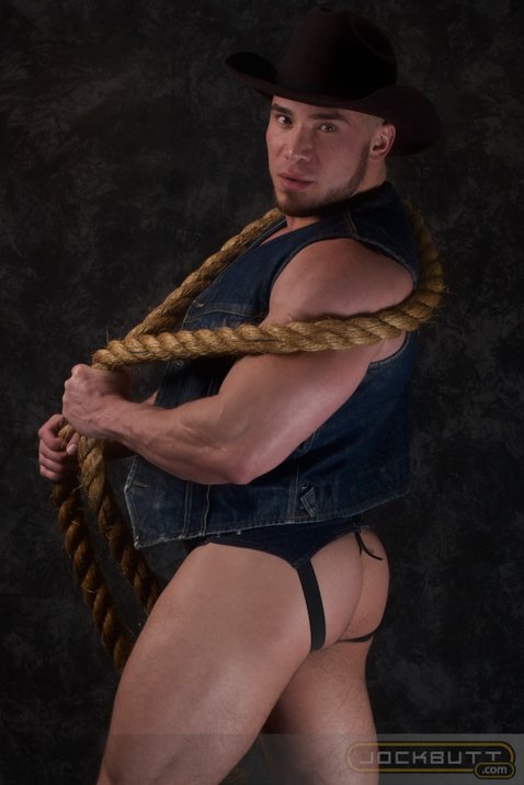Angelo - Maxegatos - Foto 11