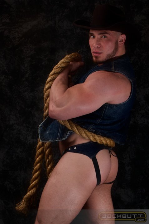 Angelo - Maxegatos - Foto 12
