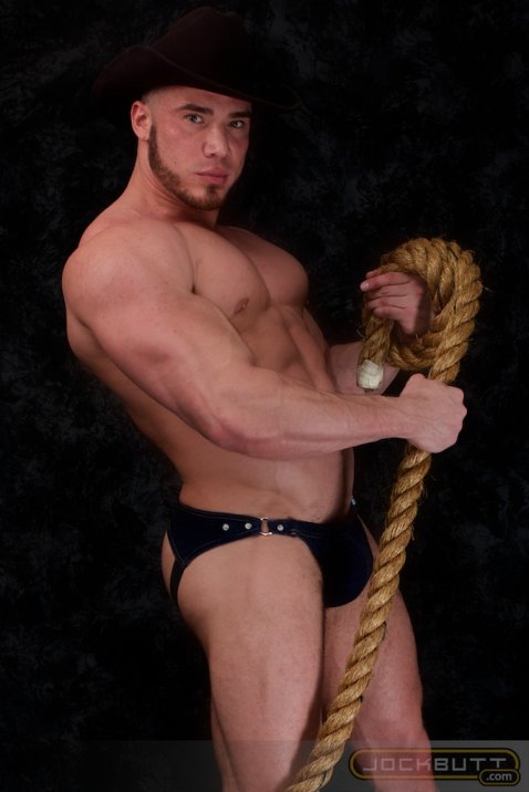 Angelo - Maxegatos - Foto 17