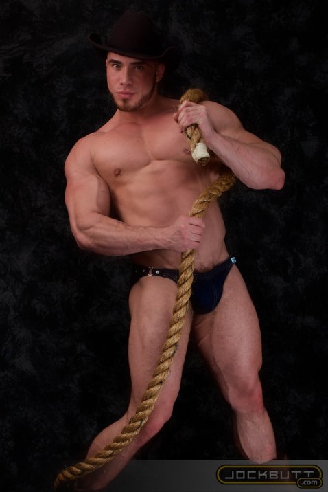 Angelo - Maxegatos - Foto 18