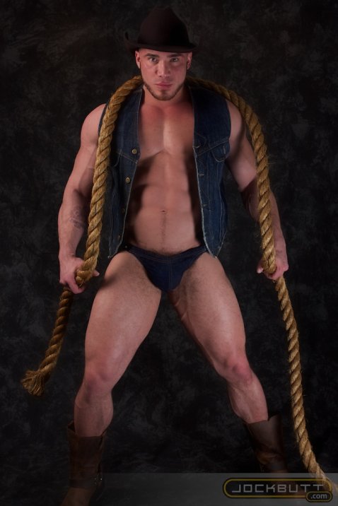Angelo - Maxegatos - Foto 2