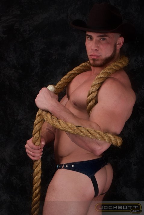 Angelo - Maxegatos - Foto 20