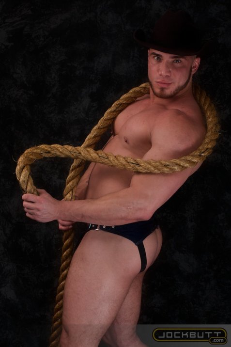 Angelo - Maxegatos - Foto 21