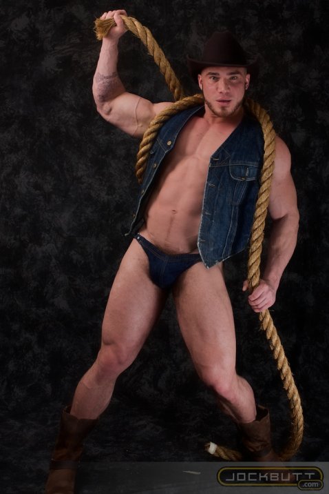 Angelo - Maxegatos - Foto 3