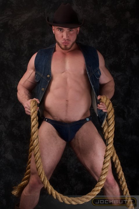 Angelo - Maxegatos - Foto 9