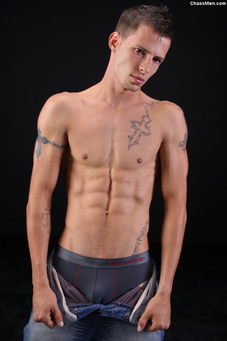 Ace - Maxegatos - Foto 11