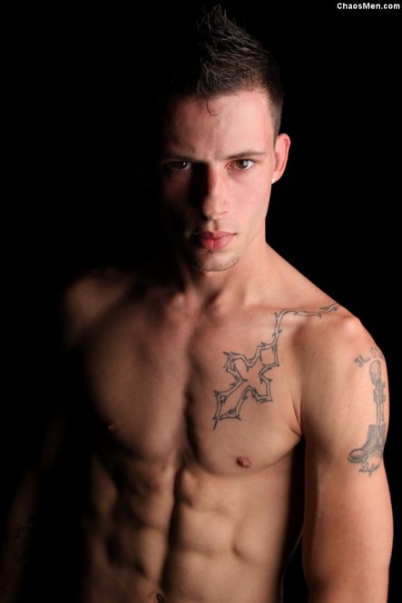 Ace - Maxegatos - Foto 55