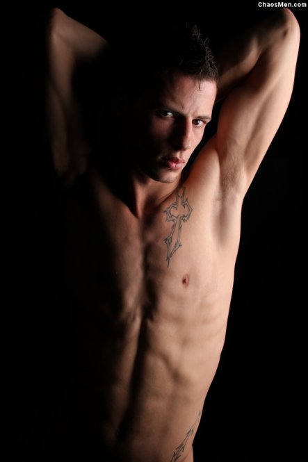 Ace - Maxegatos - Foto 60