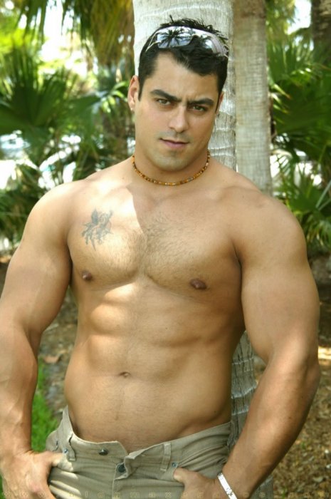 Alex Torquetti - Maxegatos - Foto 3