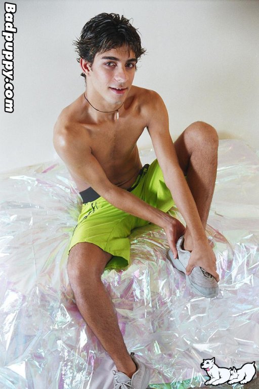 Will - Maxegatos - Foto 22
