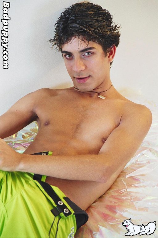 Will - Maxegatos - Foto 25