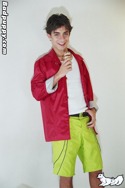 Will - Maxegatos - Foto 4