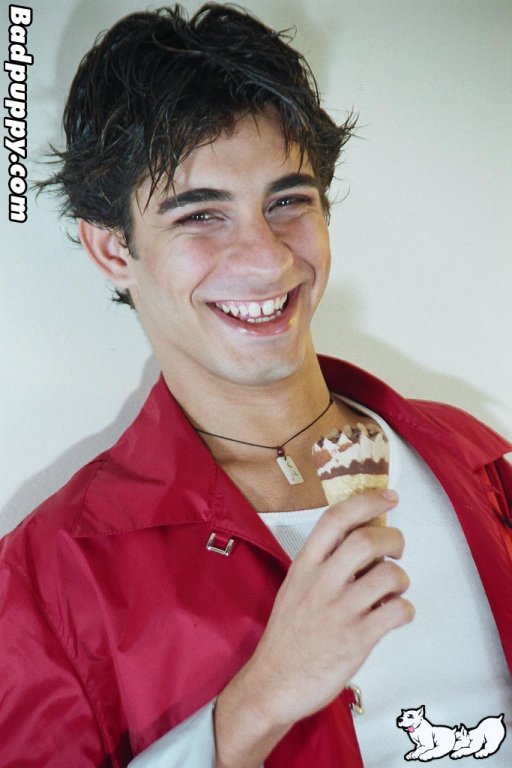 Will - Maxegatos - Foto 5