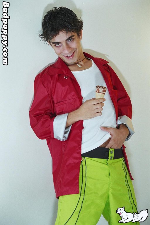 Will - Maxegatos - Foto 8