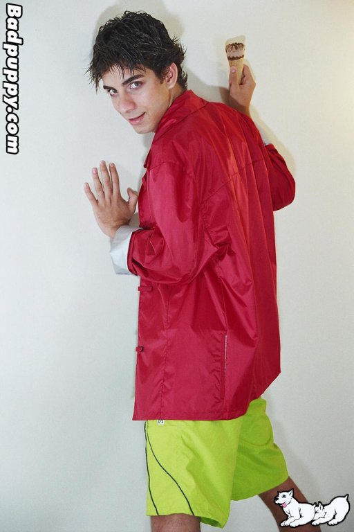 Will - Maxegatos - Foto 9