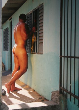 Frota - Foto 9